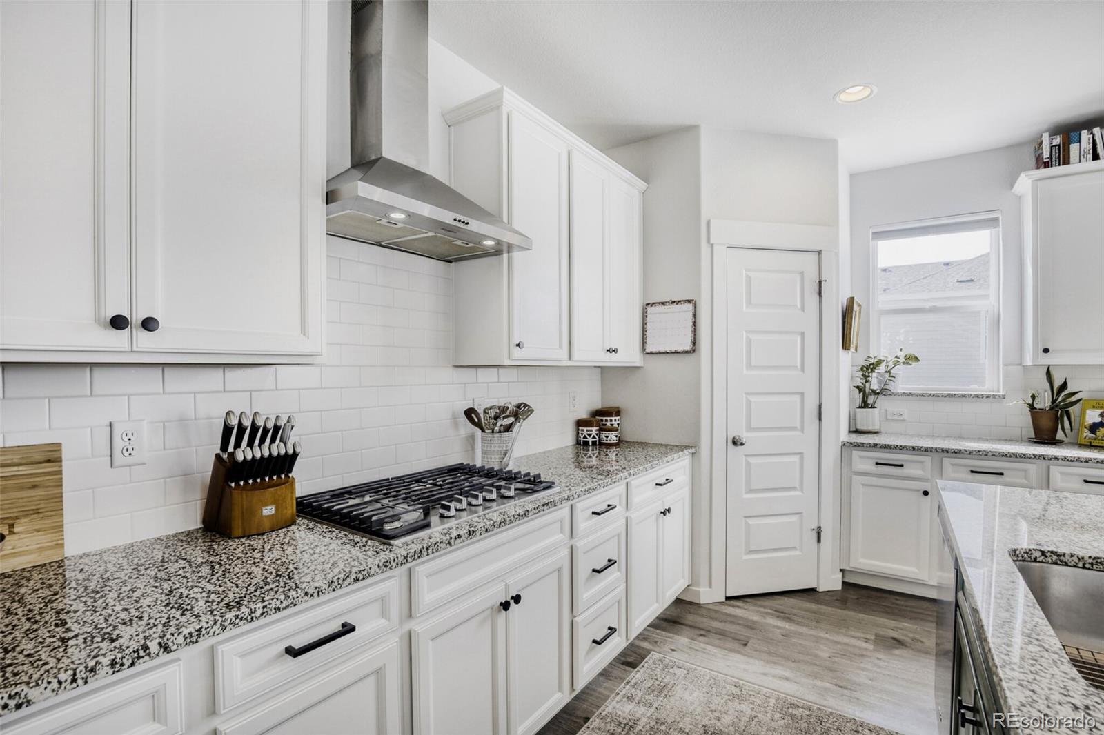 4204 Martinson Drive Loveland CO 80537