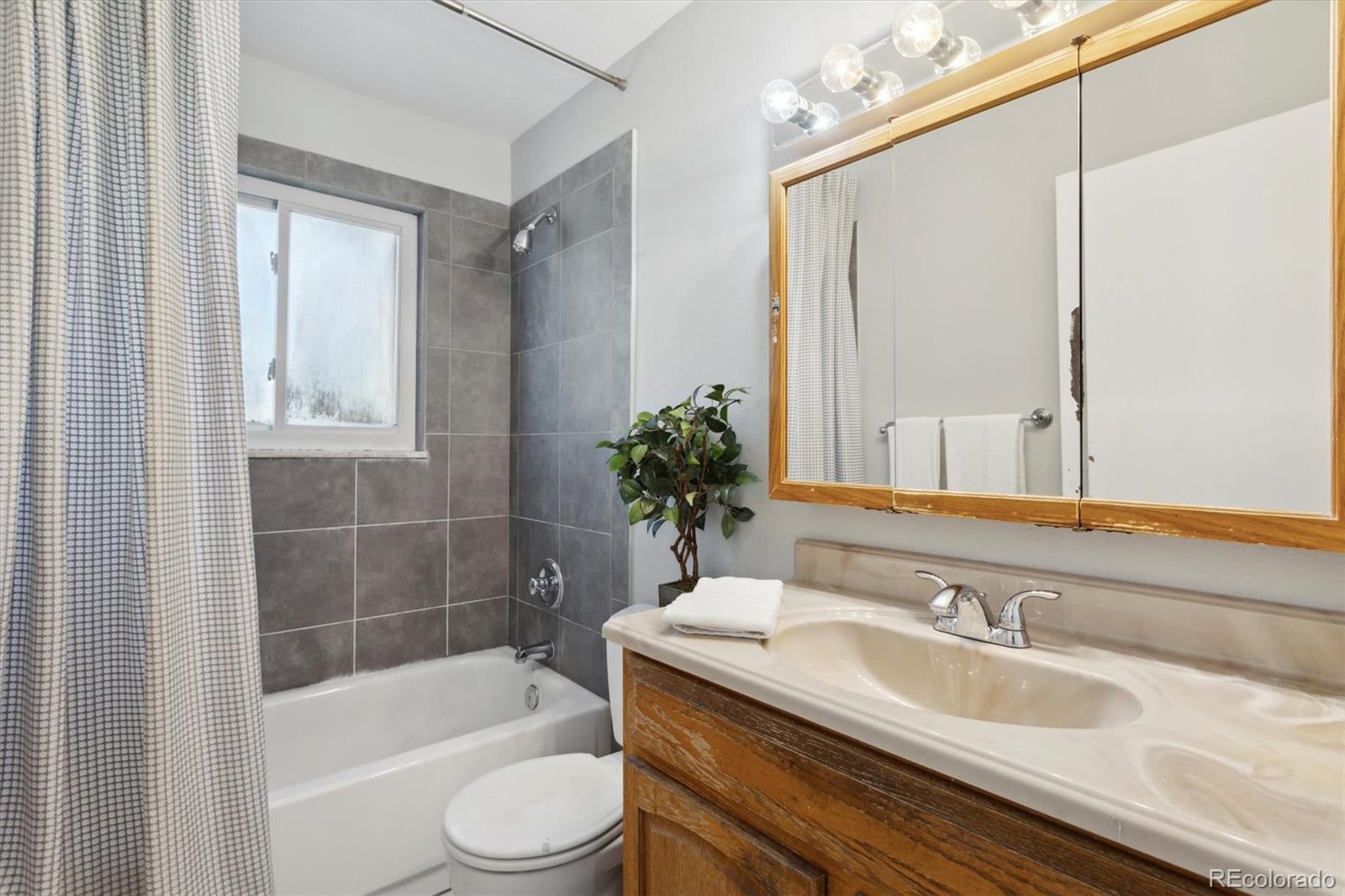 586 S Flower Street Lakewood CO 80226