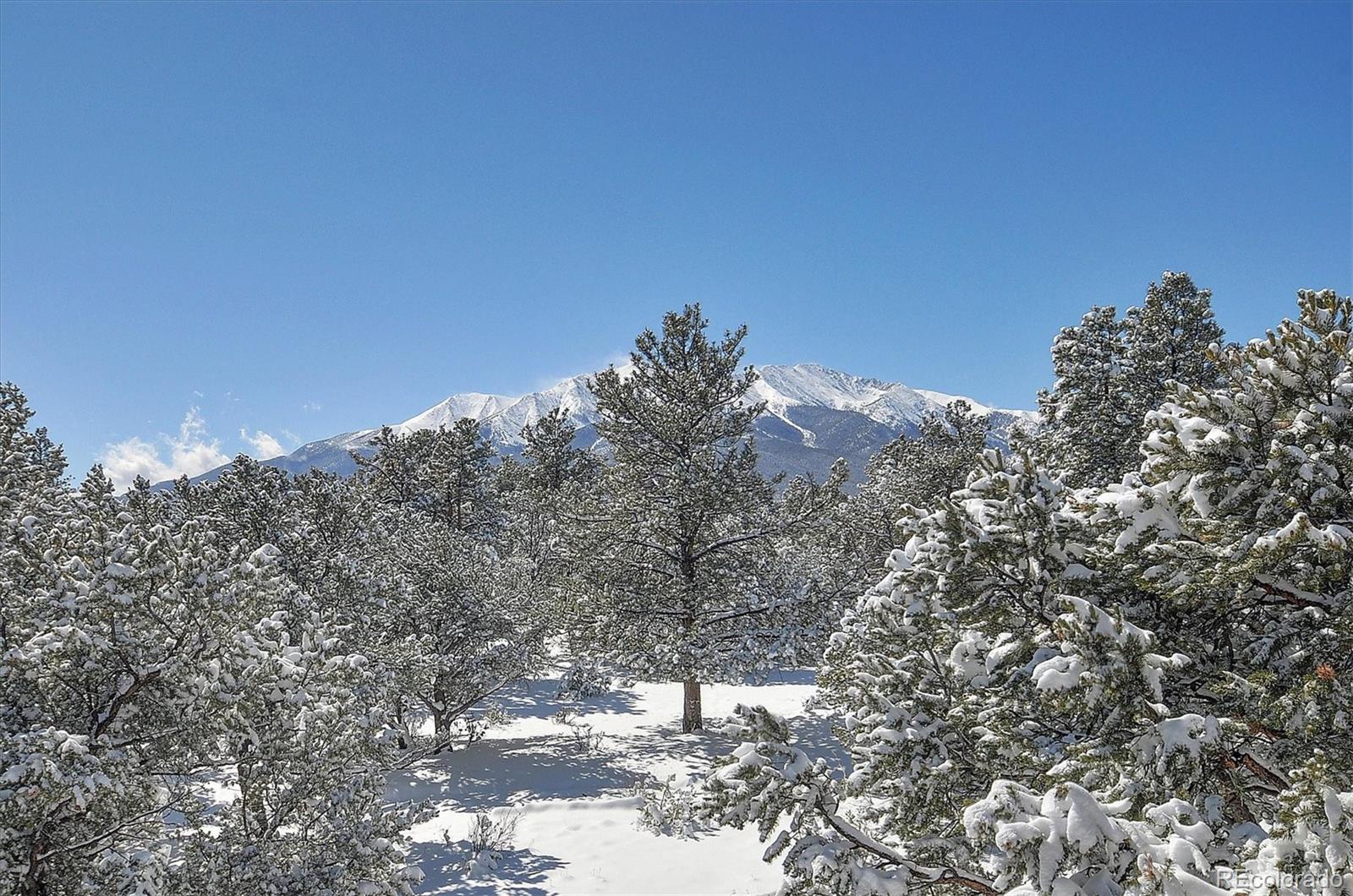 17158 County Road 363 Buena Vista CO 81211