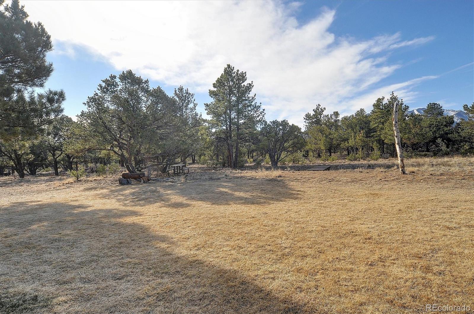 17158 County Road 363 Buena Vista CO 81211