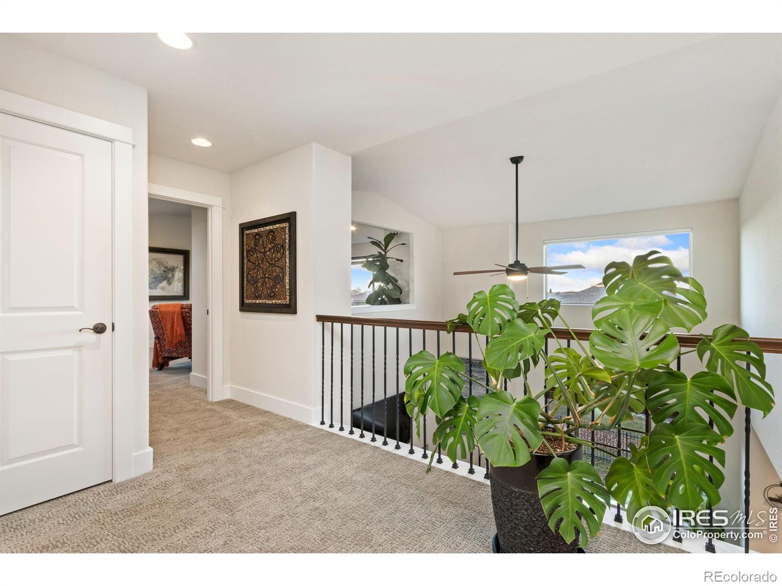 6682 Crooked Stick Drive Windsor CO 80550