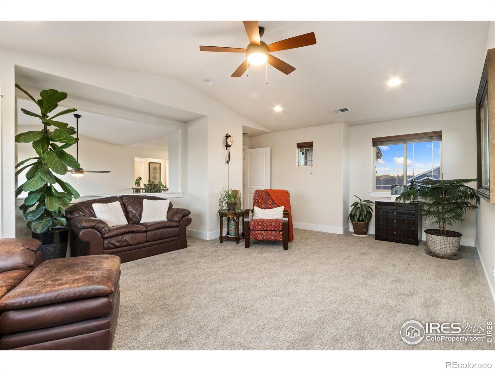 6682 Crooked Stick Drive Windsor CO 80550
