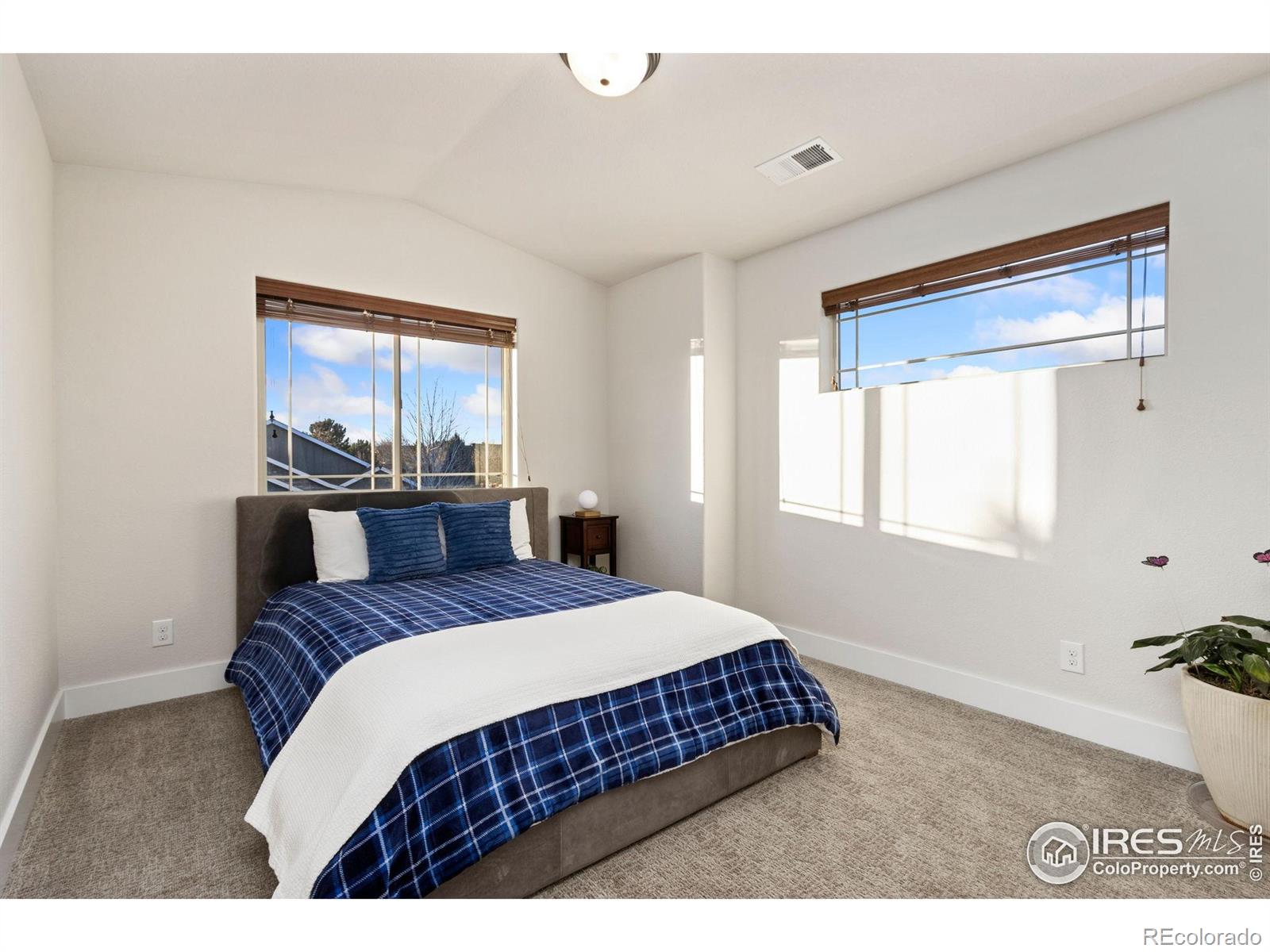 6682 Crooked Stick Drive Windsor CO 80550