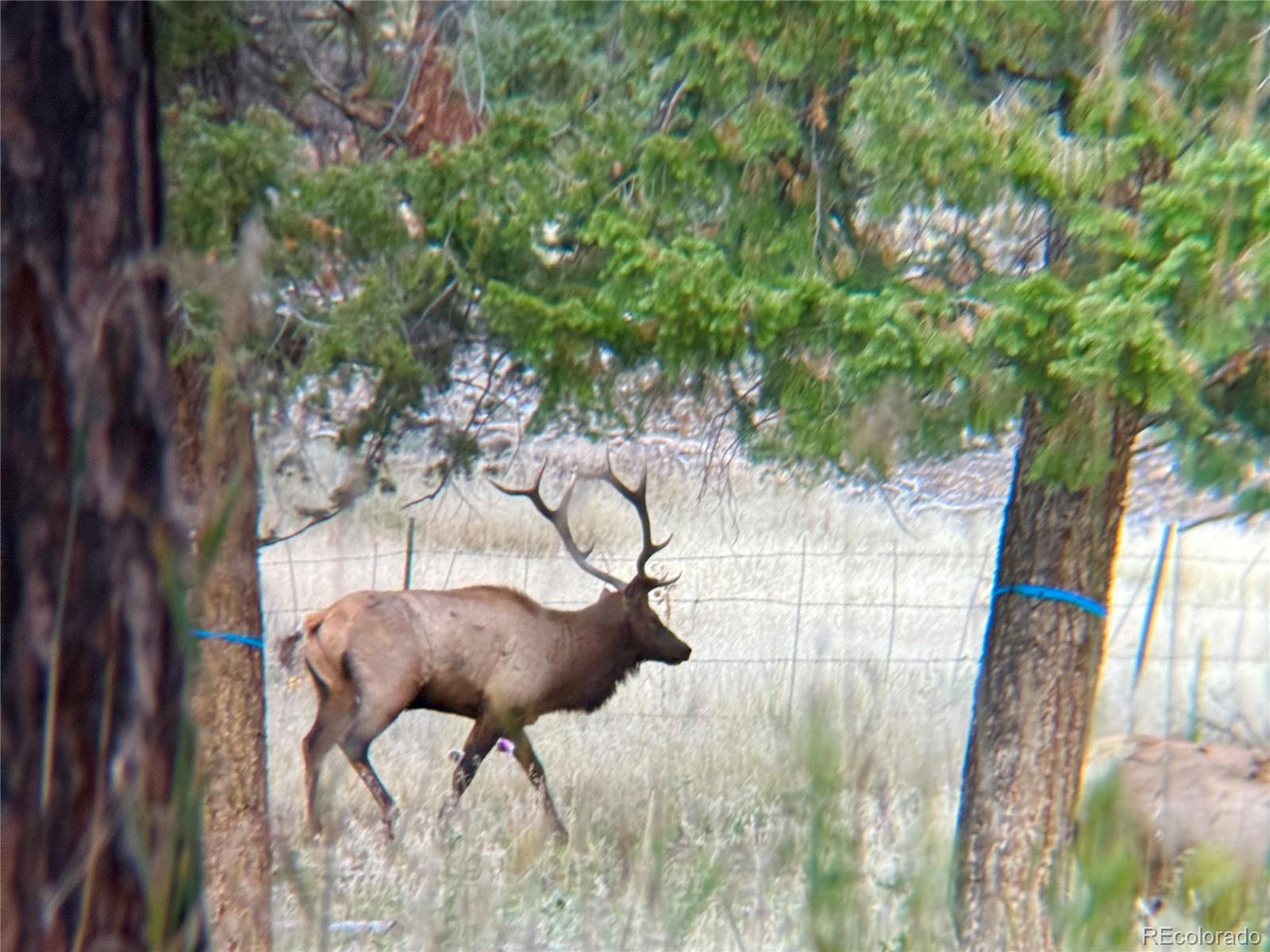 12414 S Us Highway 285 Conifer CO 80433