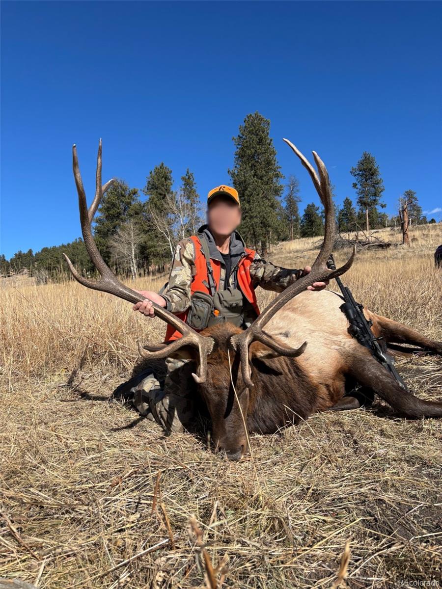 12414 S Us Highway 285 Conifer CO 80433