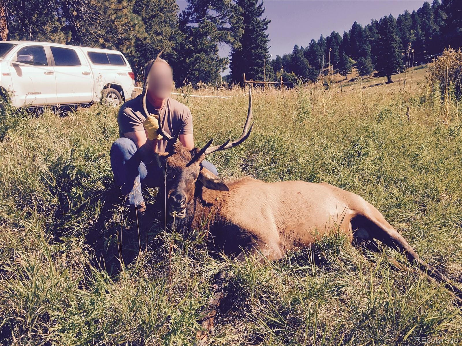 12414 S Us Highway 285 Conifer CO 80433