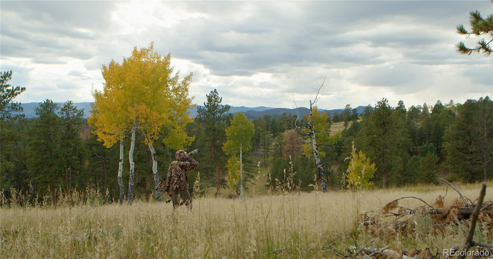 12414 S Us Highway 285 Conifer CO 80433