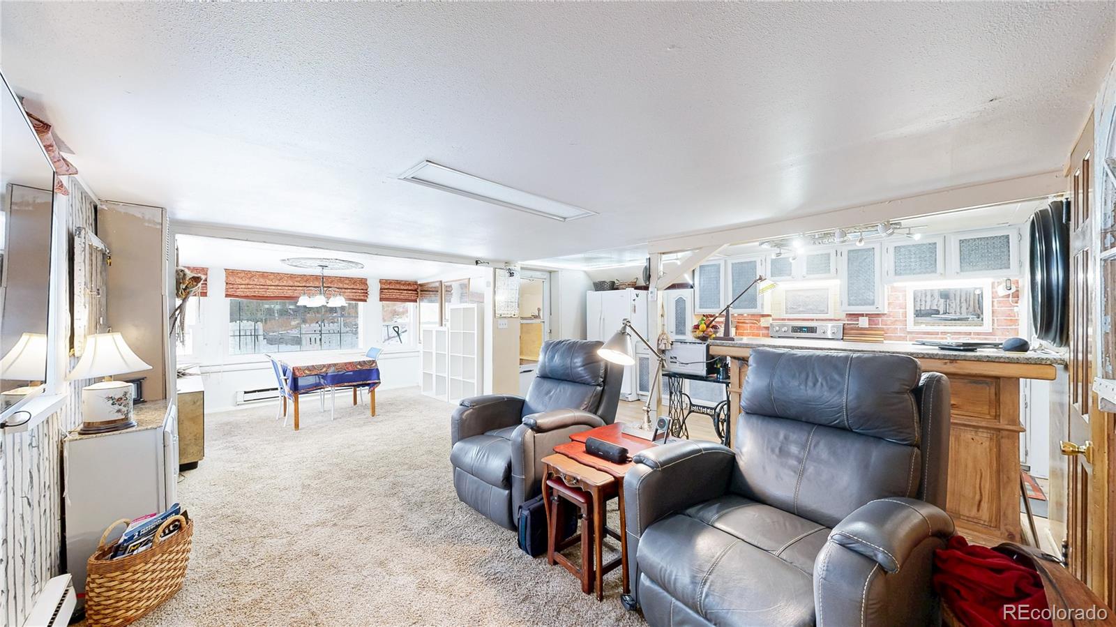 33988 Jenifer Road Pine CO 80470