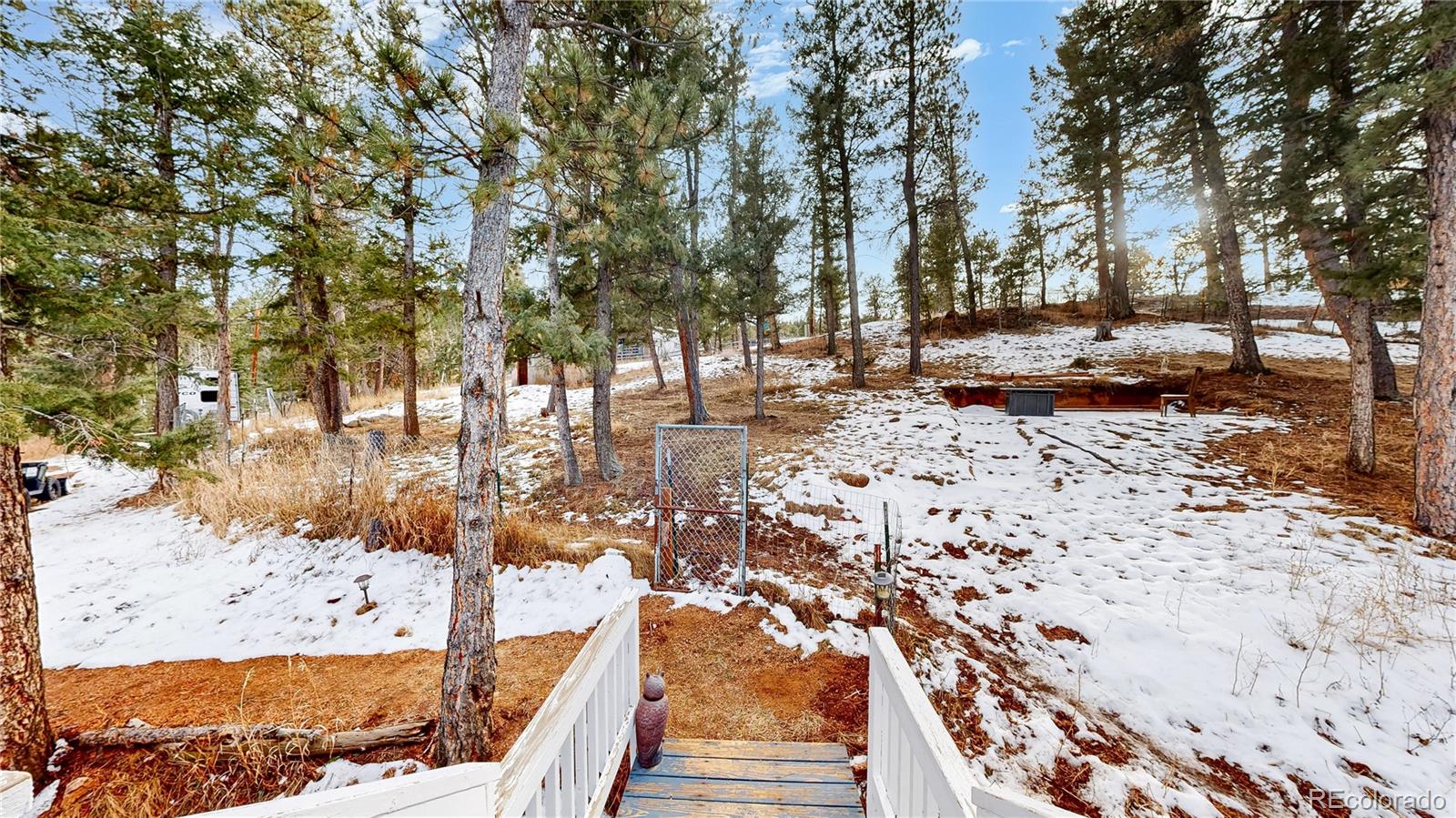 33988 Jenifer Road Pine CO 80470