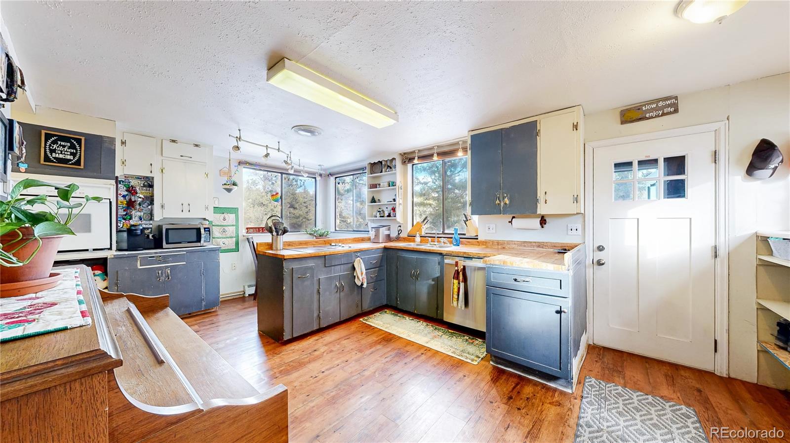 33988 Jenifer Road Pine CO 80470