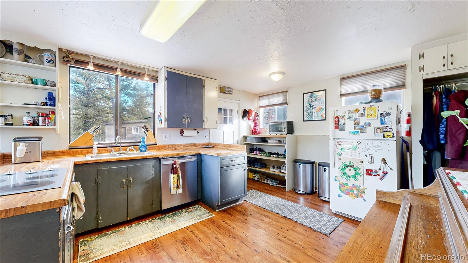 33988 Jenifer Road Pine CO 80470