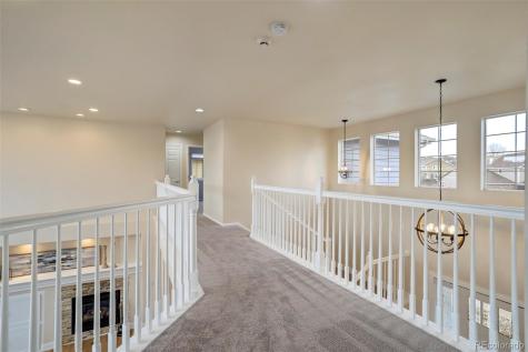 13860 Horsetail Terrace Colorado Springs CO 80921