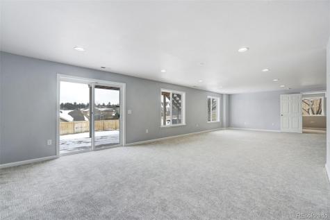 13860 Horsetail Terrace Colorado Springs CO 80921