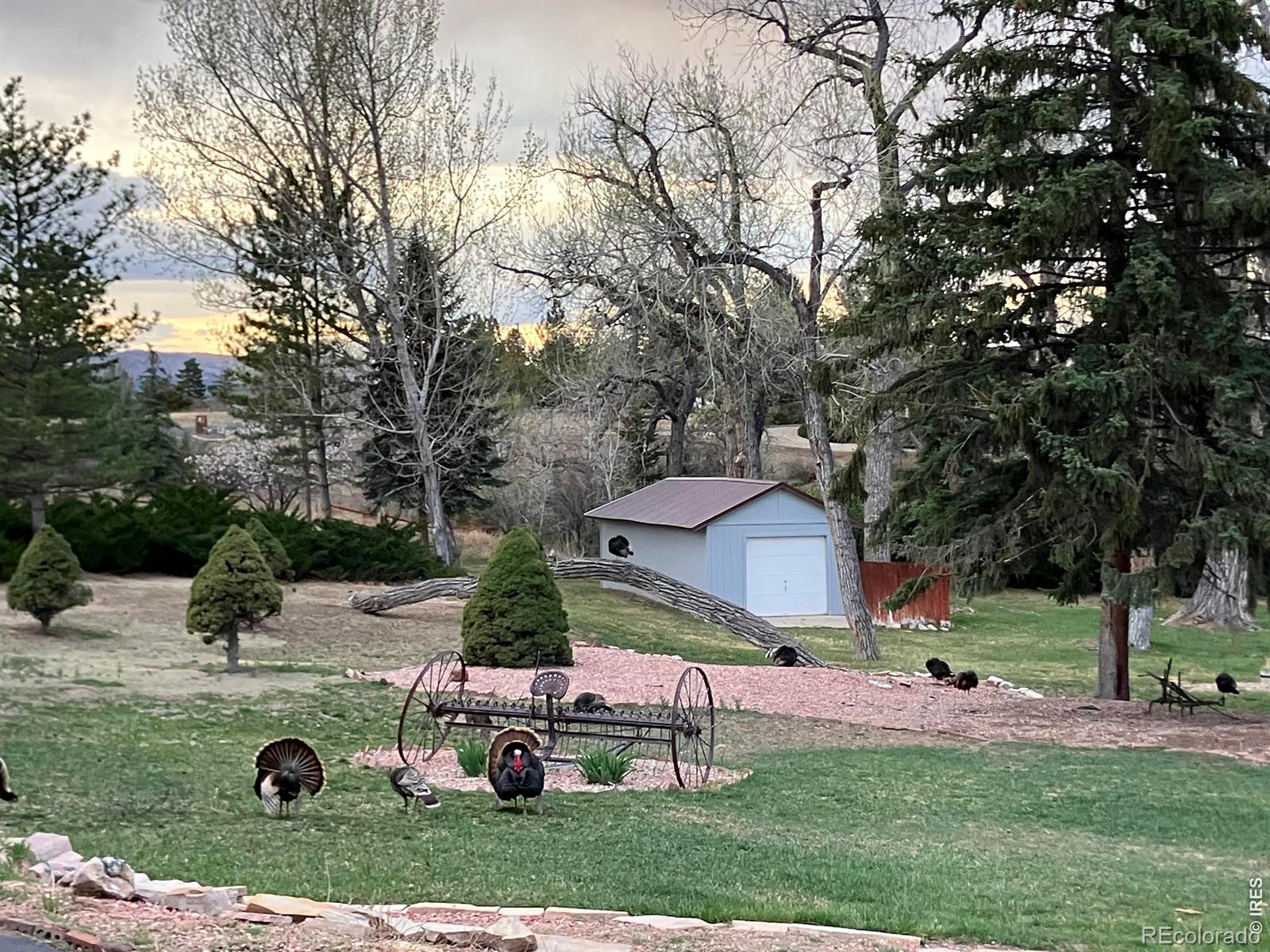 908 Willowrock Drive Loveland CO 80537