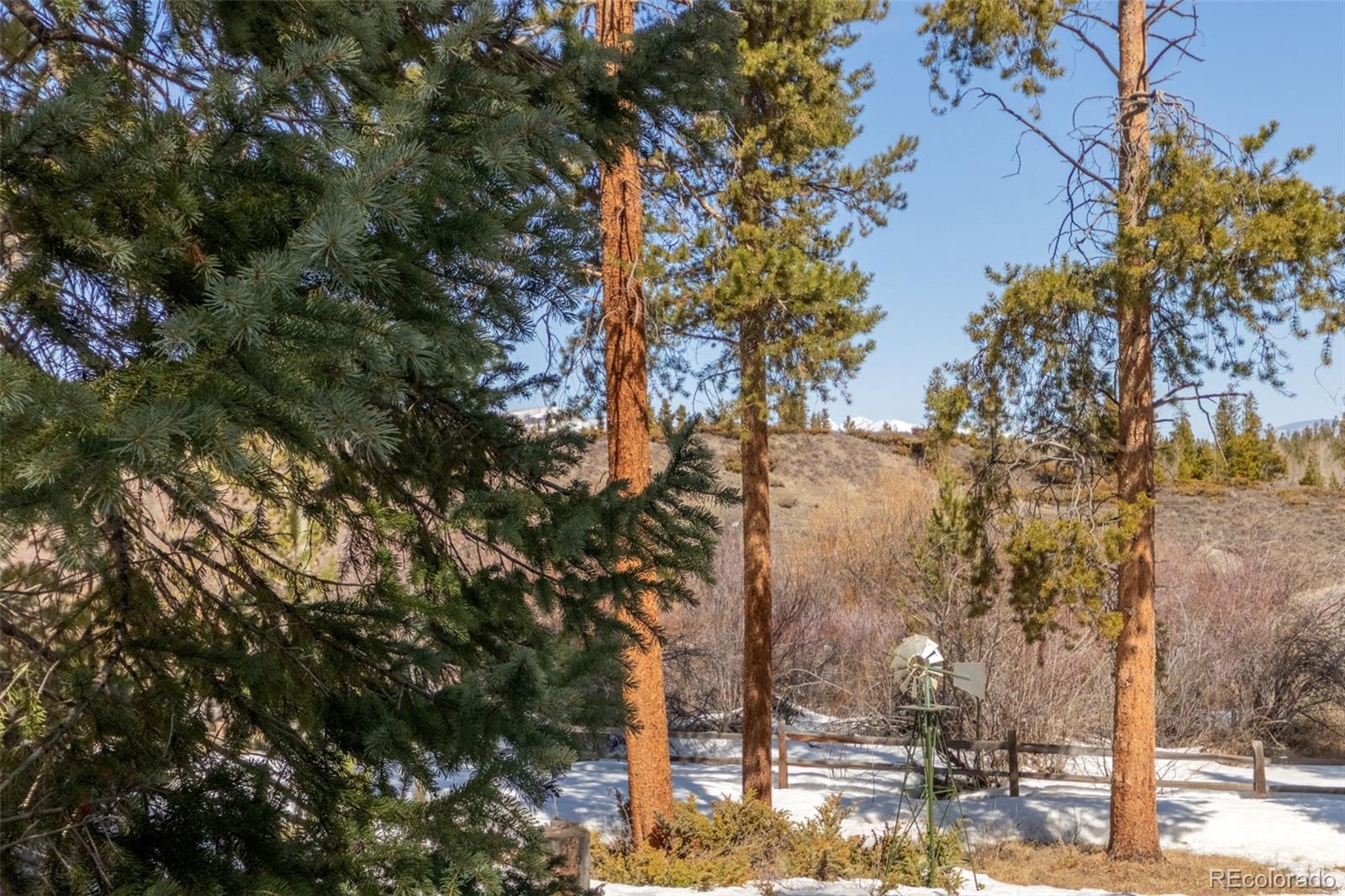 337 GCR 6482 Grand Lake CO 80447