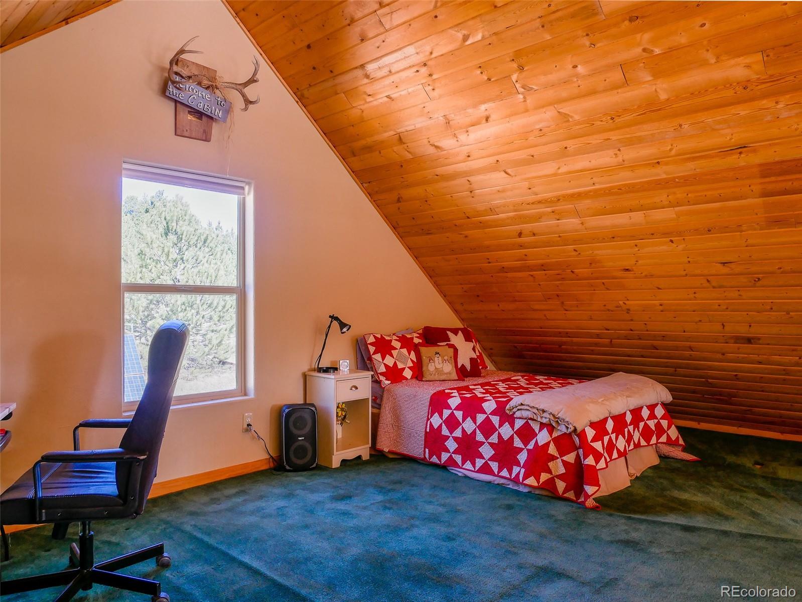 314 S Antelope Trail Cotopaxi CO 81223