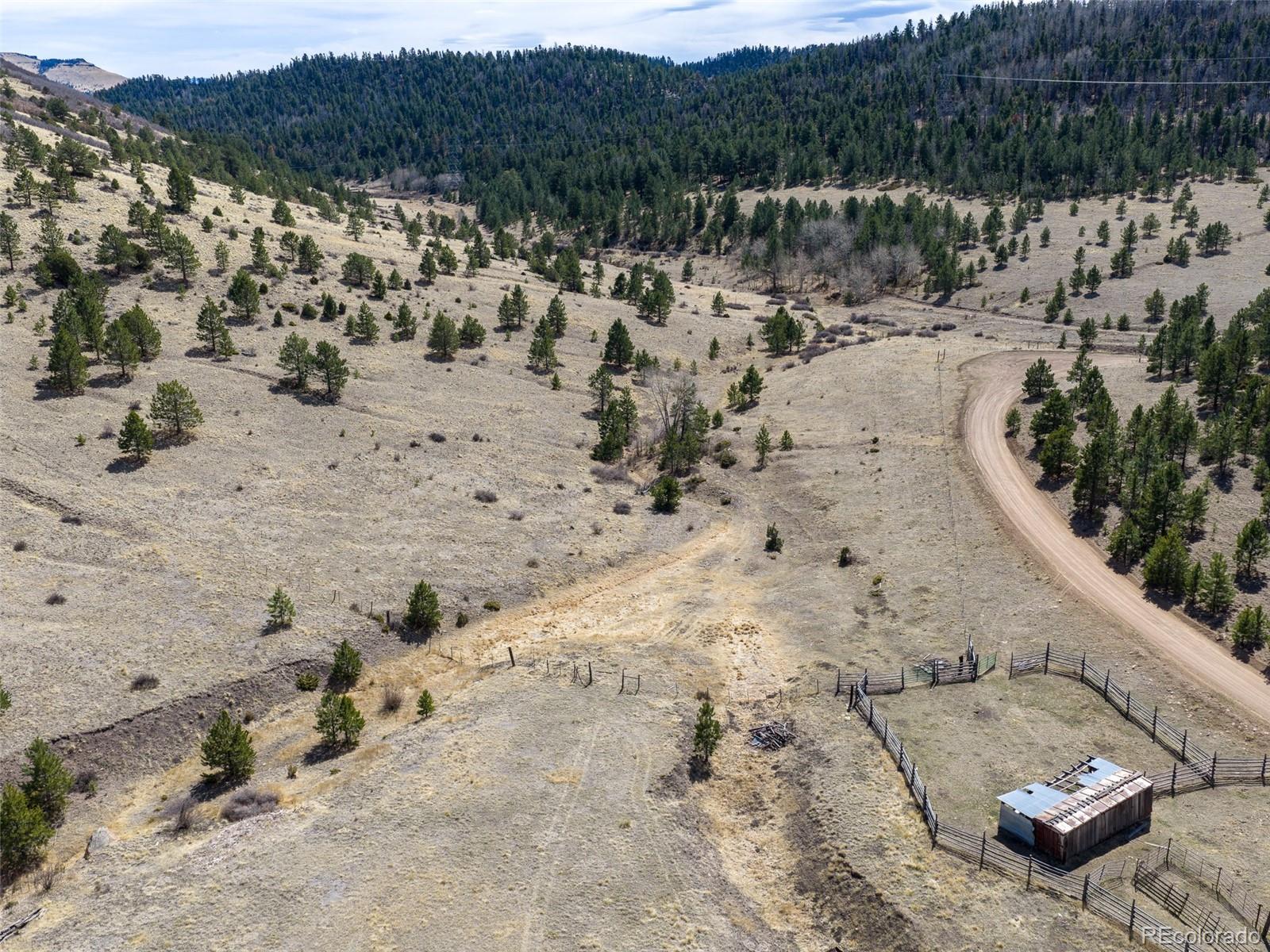 314 S Antelope Trail Cotopaxi CO 81223