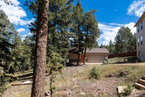 1625 N Mountain Estates Road Florissant CO 80816