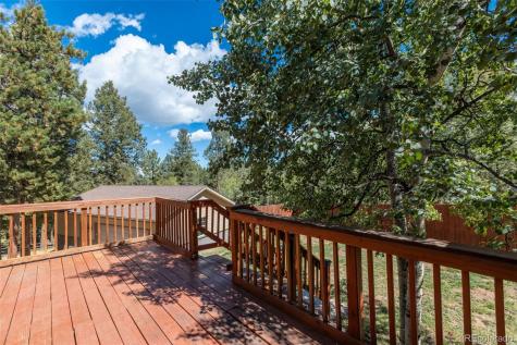 1625 N Mountain Estates Road Florissant CO 80816