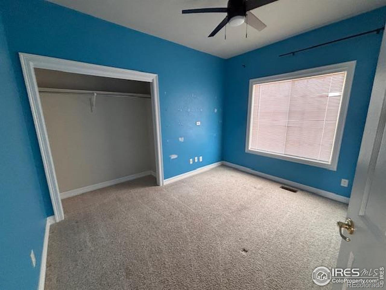 3323 Costanita Street Evans CO 80634