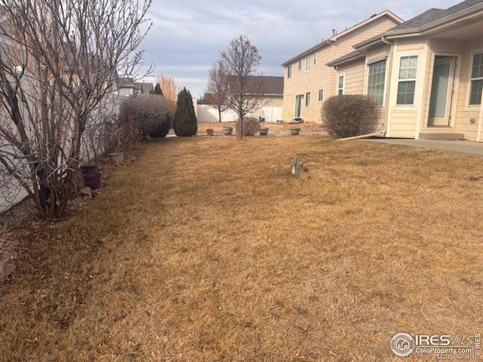 3323 Costanita Street Evans CO 80634