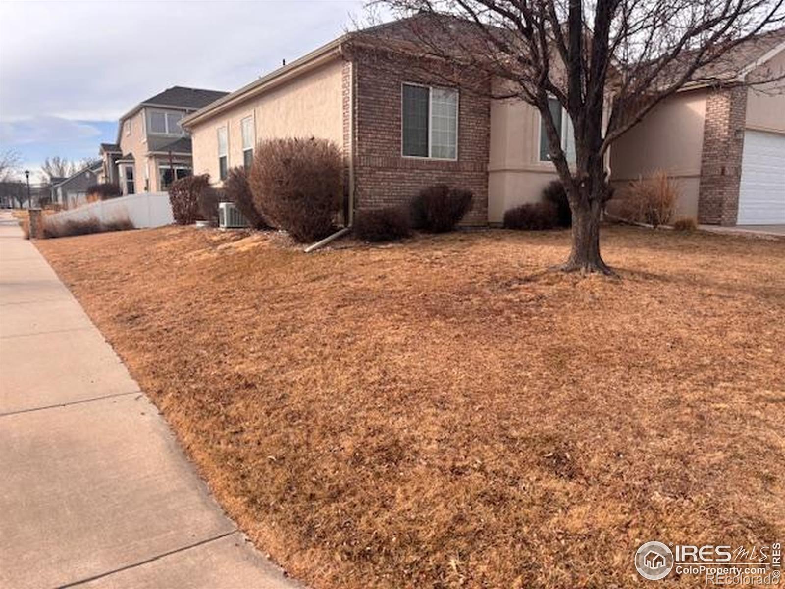 3323 Costanita Street Evans CO 80634