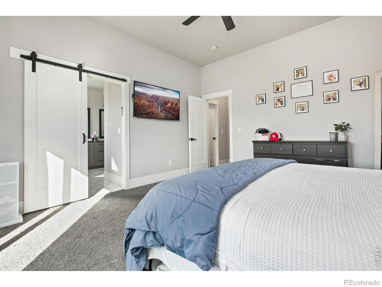 894 Turkey Roost Drive Livermore CO 80536