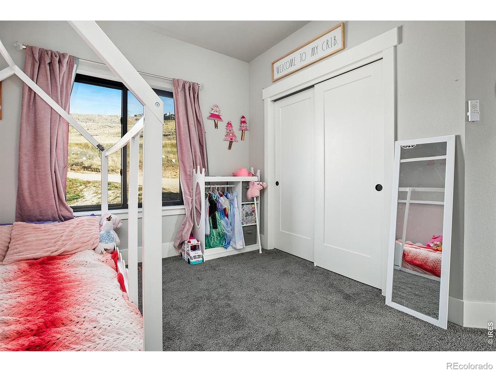 894 Turkey Roost Drive Livermore CO 80536