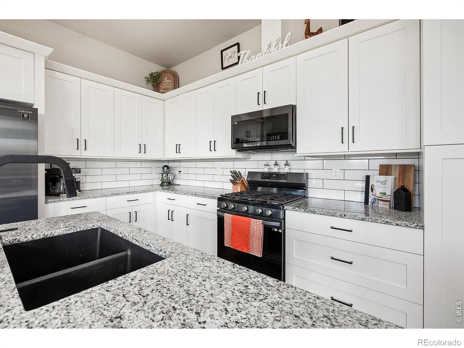 894 Turkey Roost Drive Livermore CO 80536