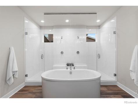 5821 Tesoro Point Parker CO 80134