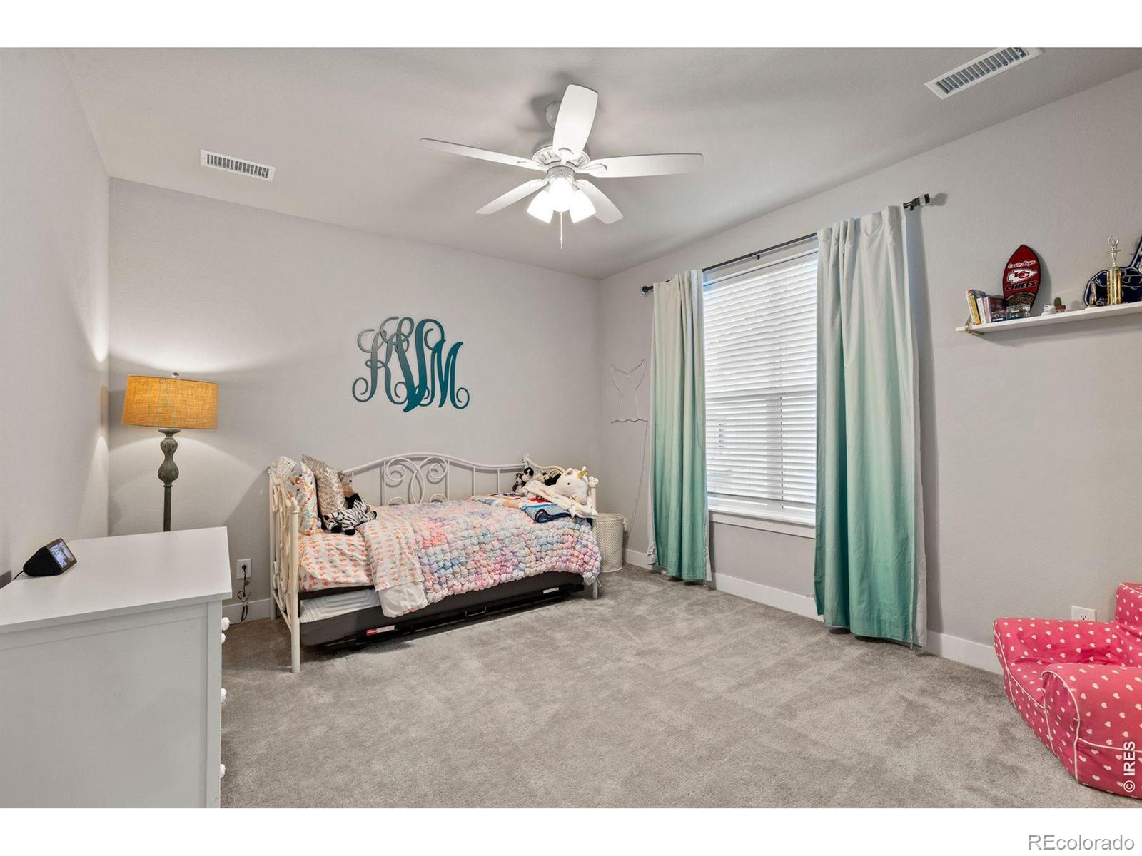 5821 Tesoro Point Parker CO 80134