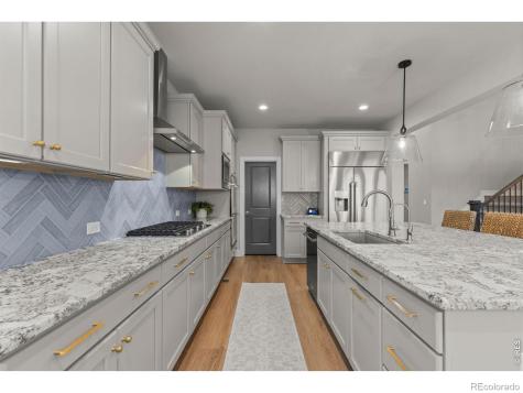 5821 Tesoro Point Parker CO 80134