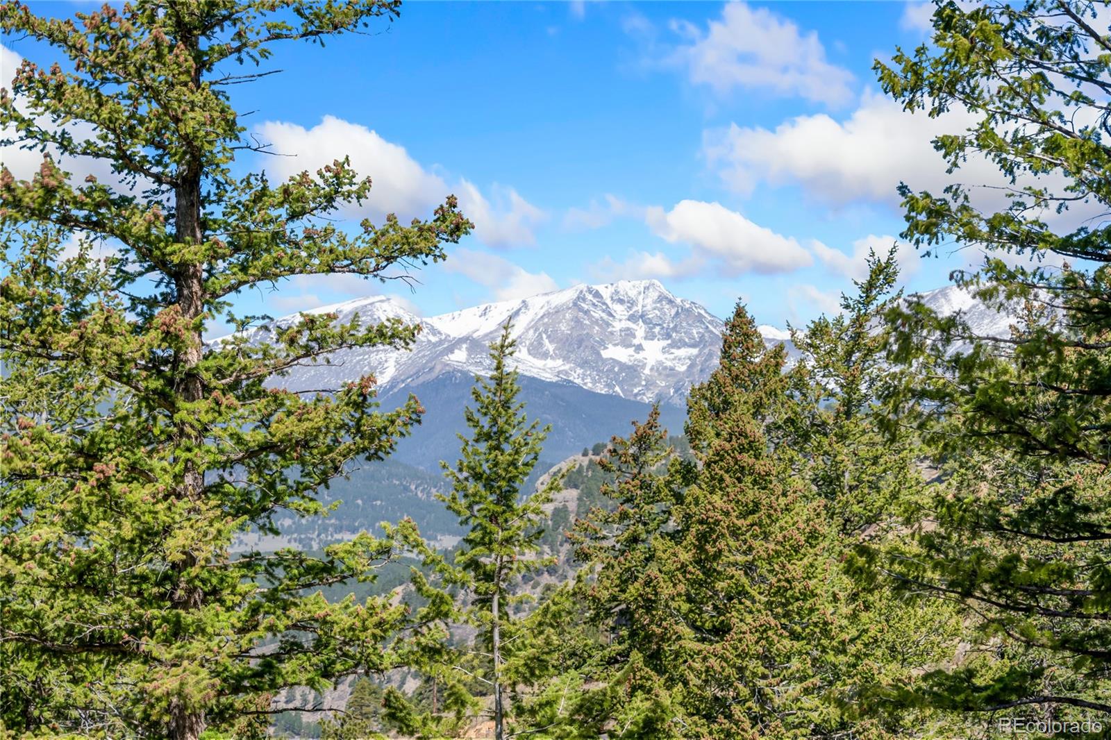 1751 Windcliff Drive Estes Park CO 80517