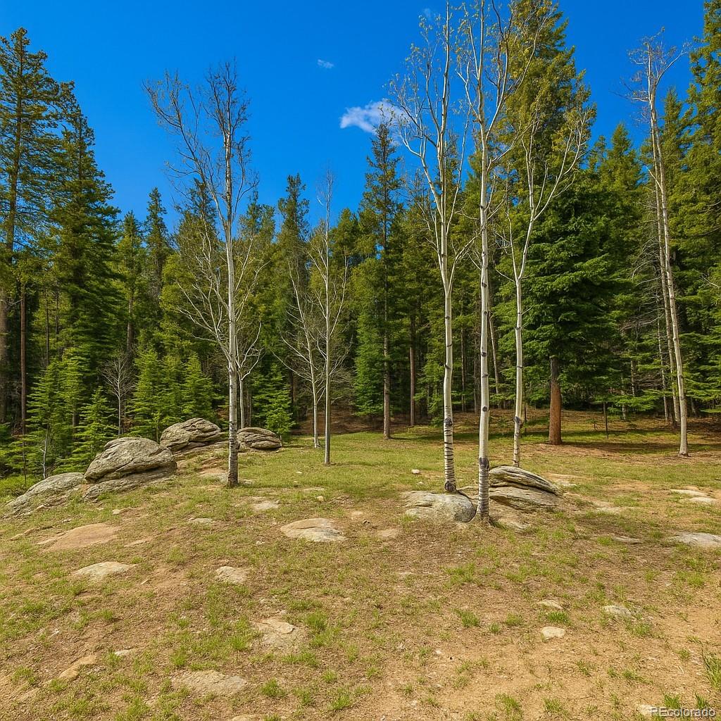 33606 Gap Road Golden CO 80403