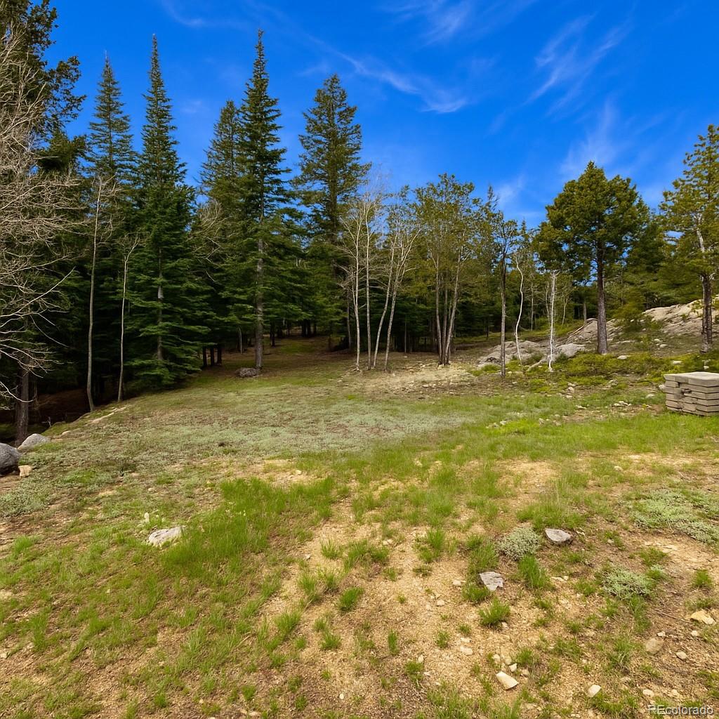 33606 Gap Road Golden CO 80403