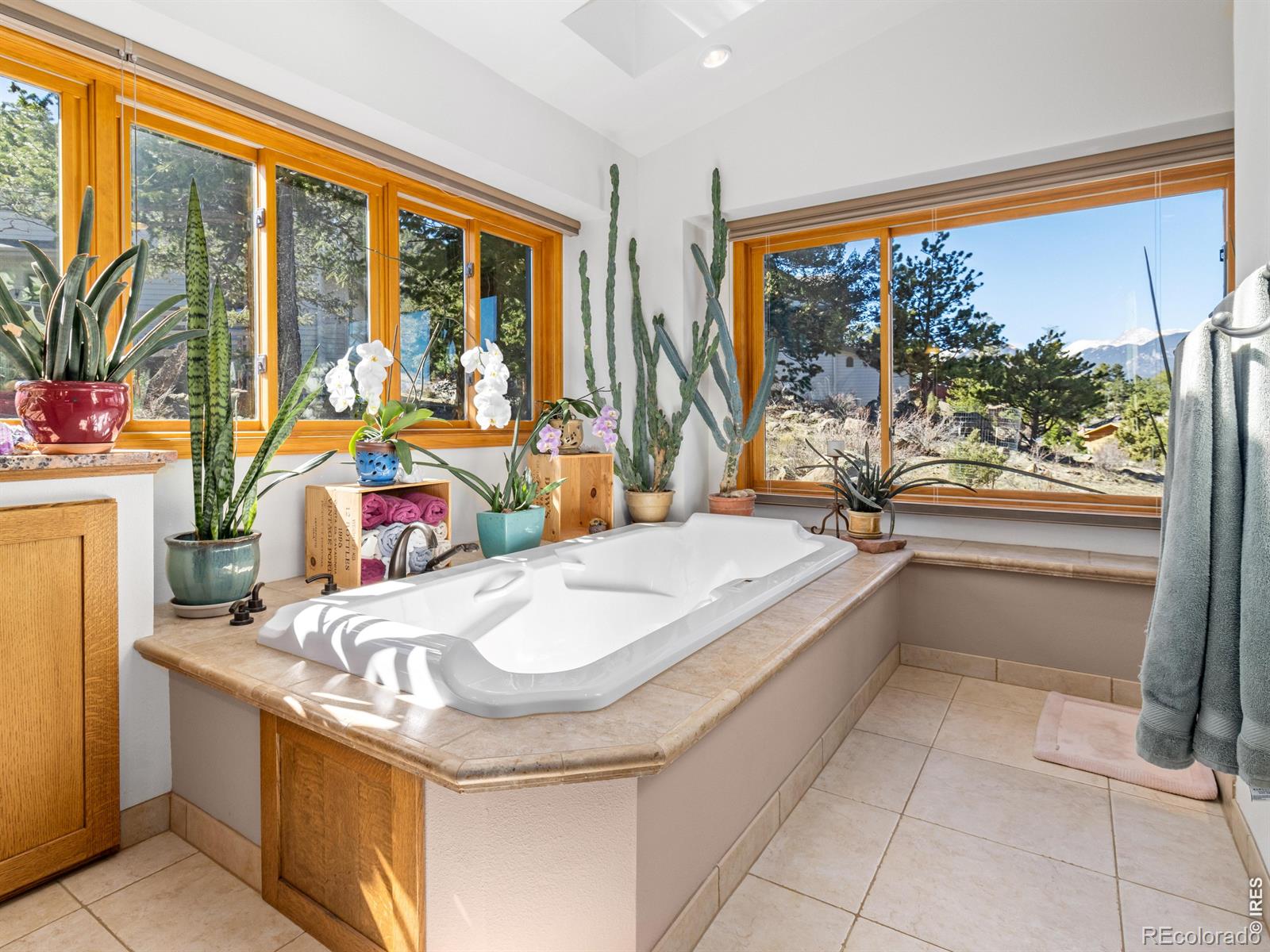 895 Elk Meadow Court Estes Park CO 80517
