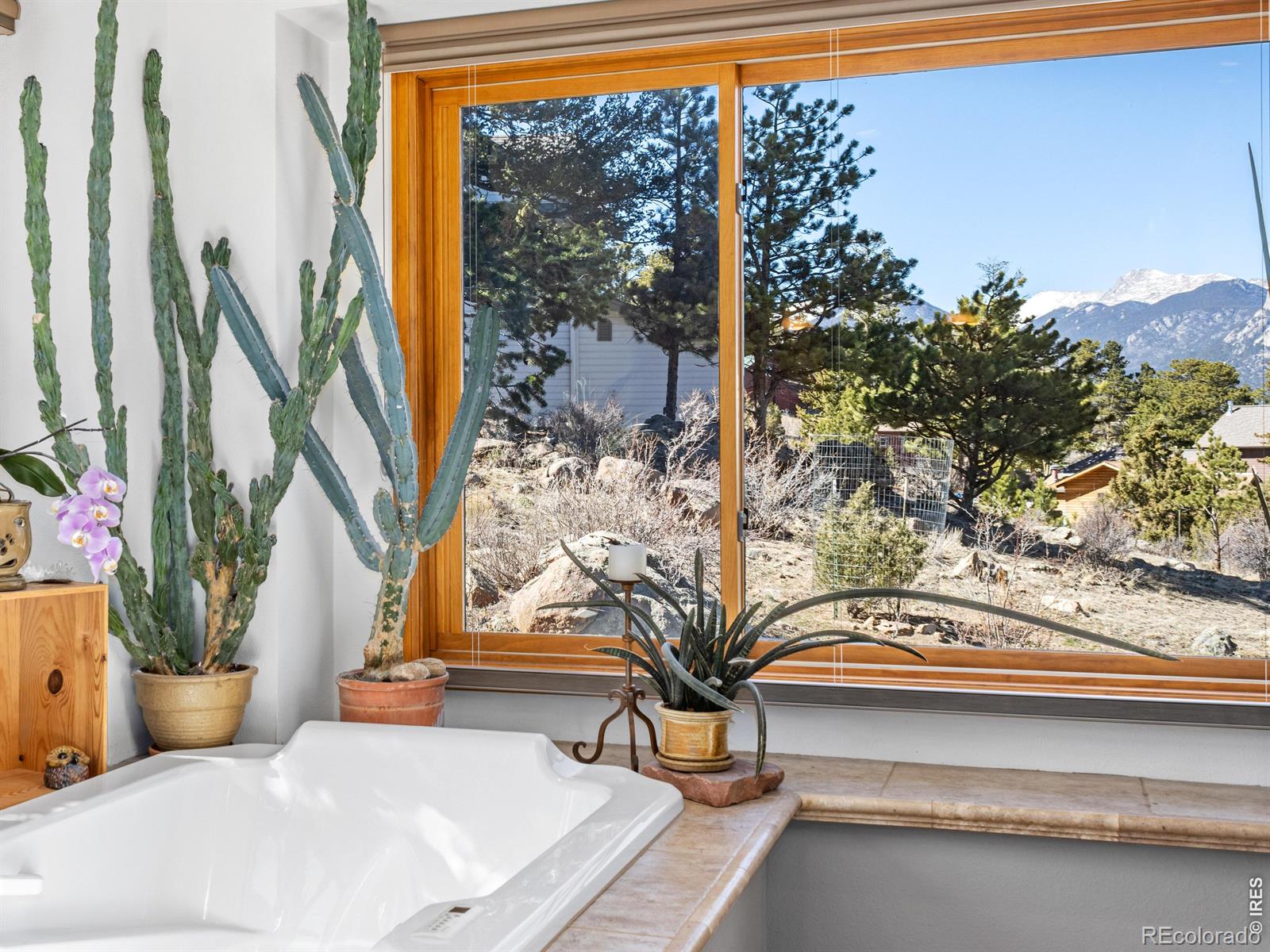 895 Elk Meadow Court Estes Park CO 80517