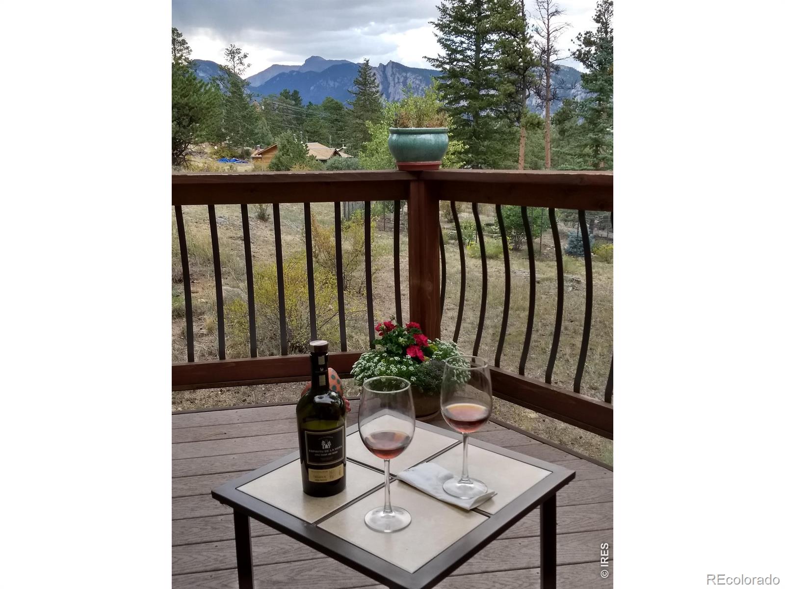 895 Elk Meadow Court Estes Park CO 80517