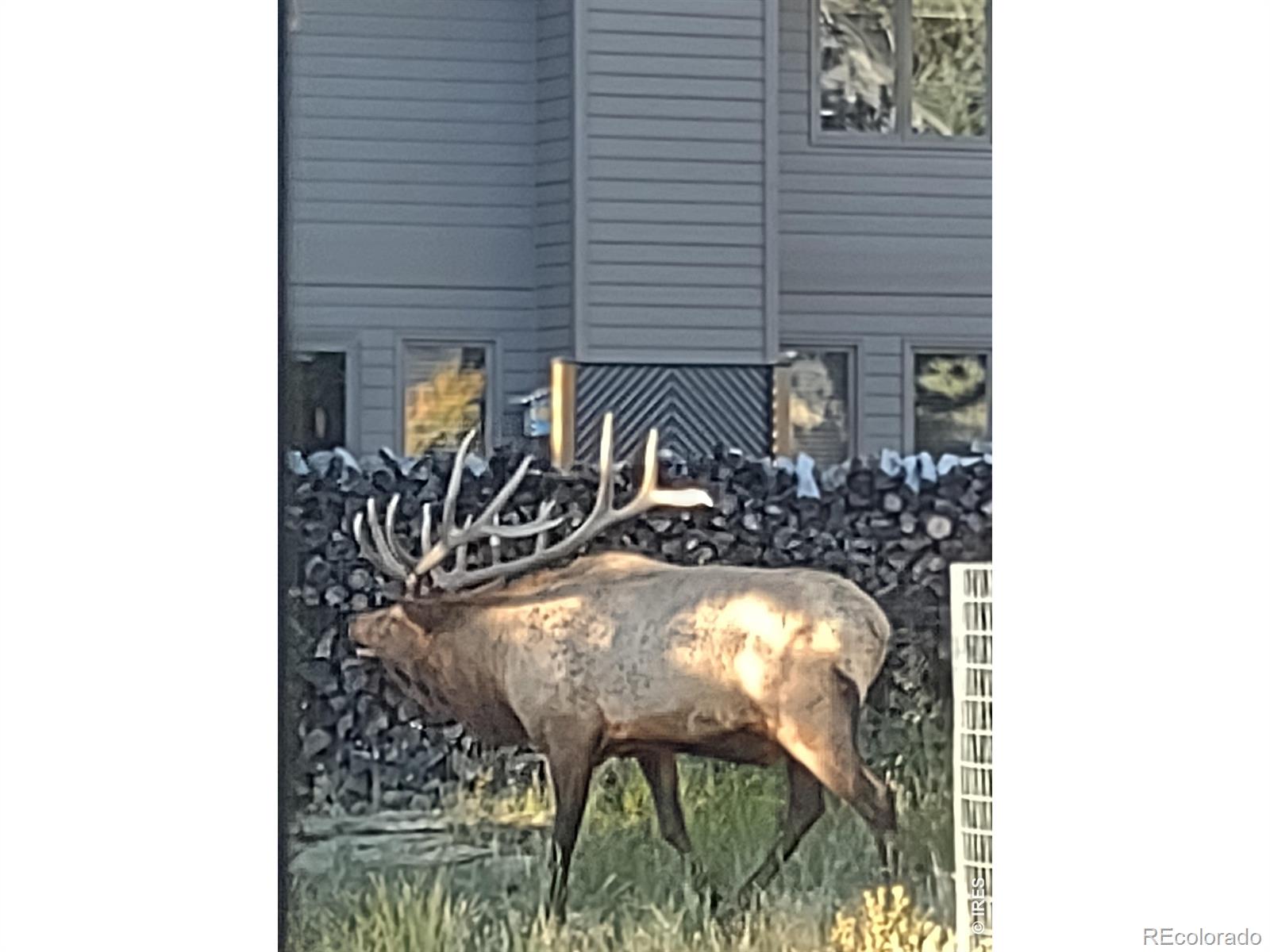 895 Elk Meadow Court Estes Park CO 80517