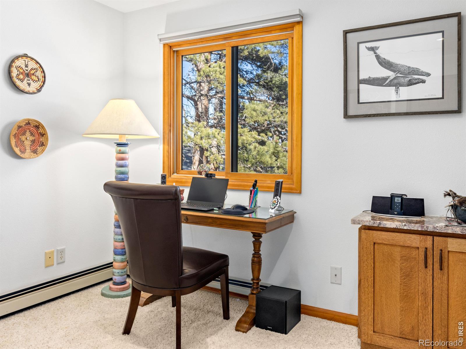 895 Elk Meadow Court Estes Park CO 80517