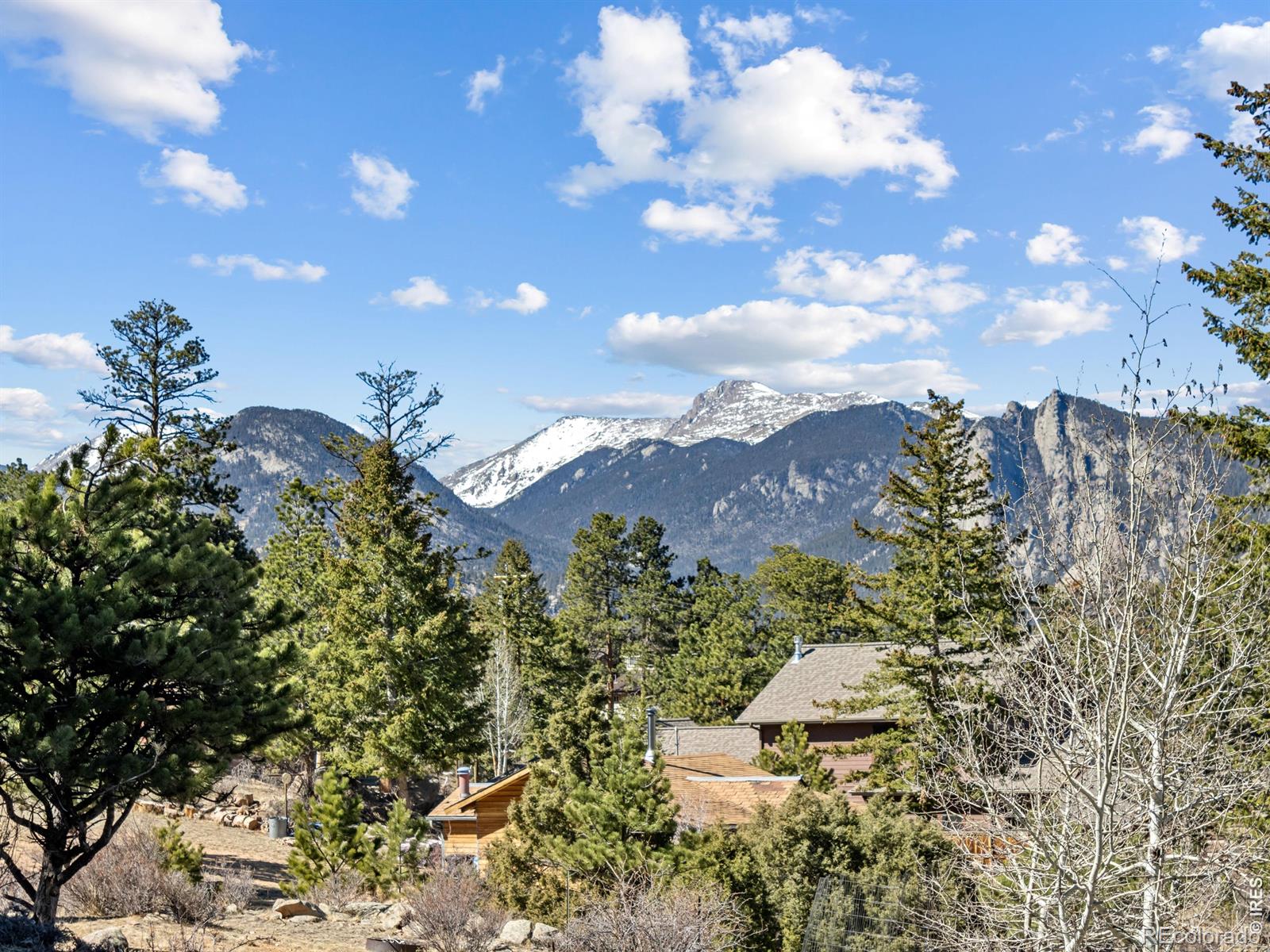895 Elk Meadow Court Estes Park CO 80517