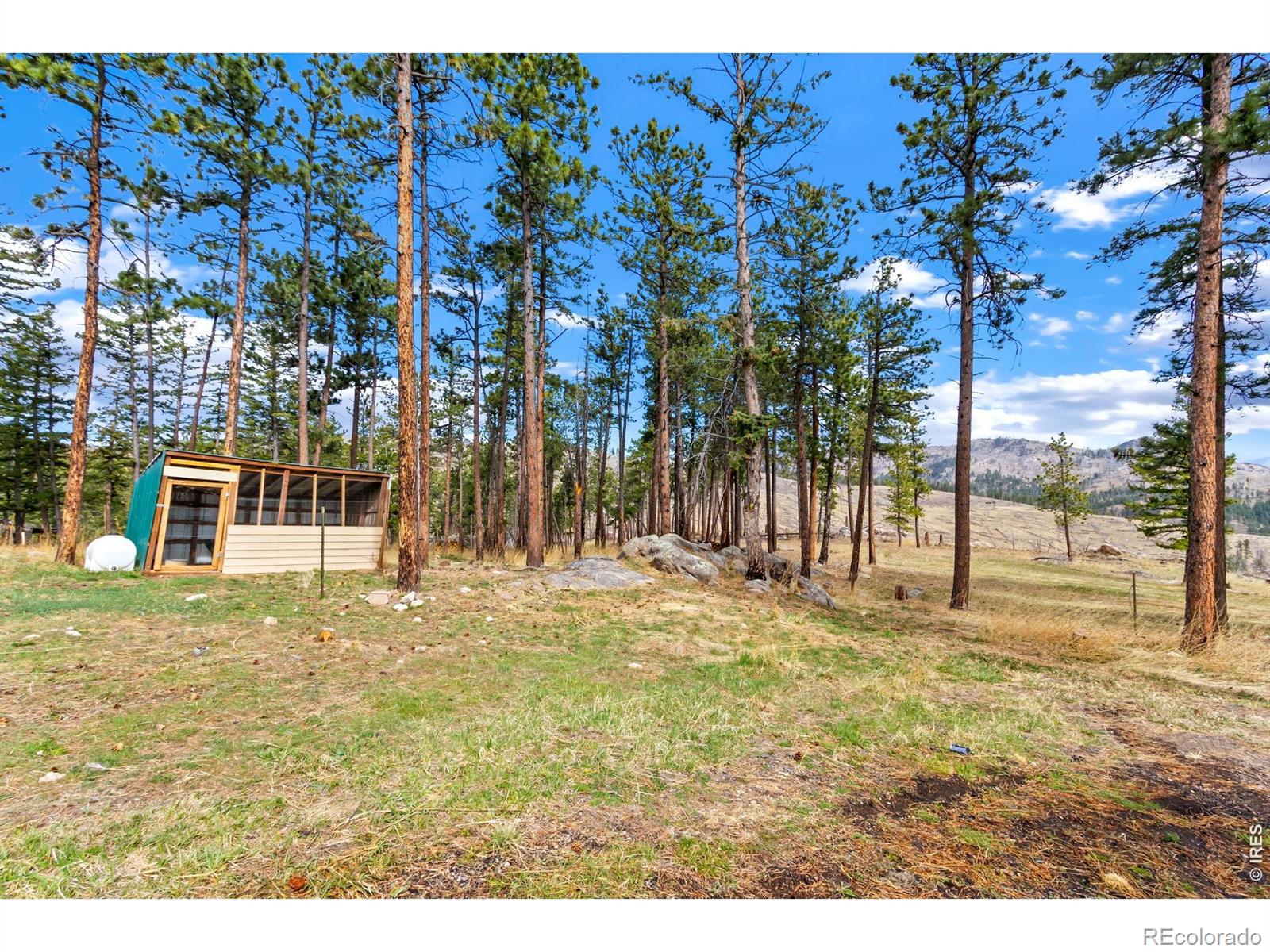 348 La Escena Drive Bellvue CO 80512