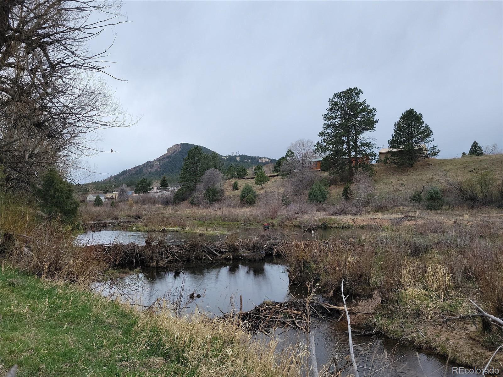 9071 S Frink Road Larkspur CO 80118