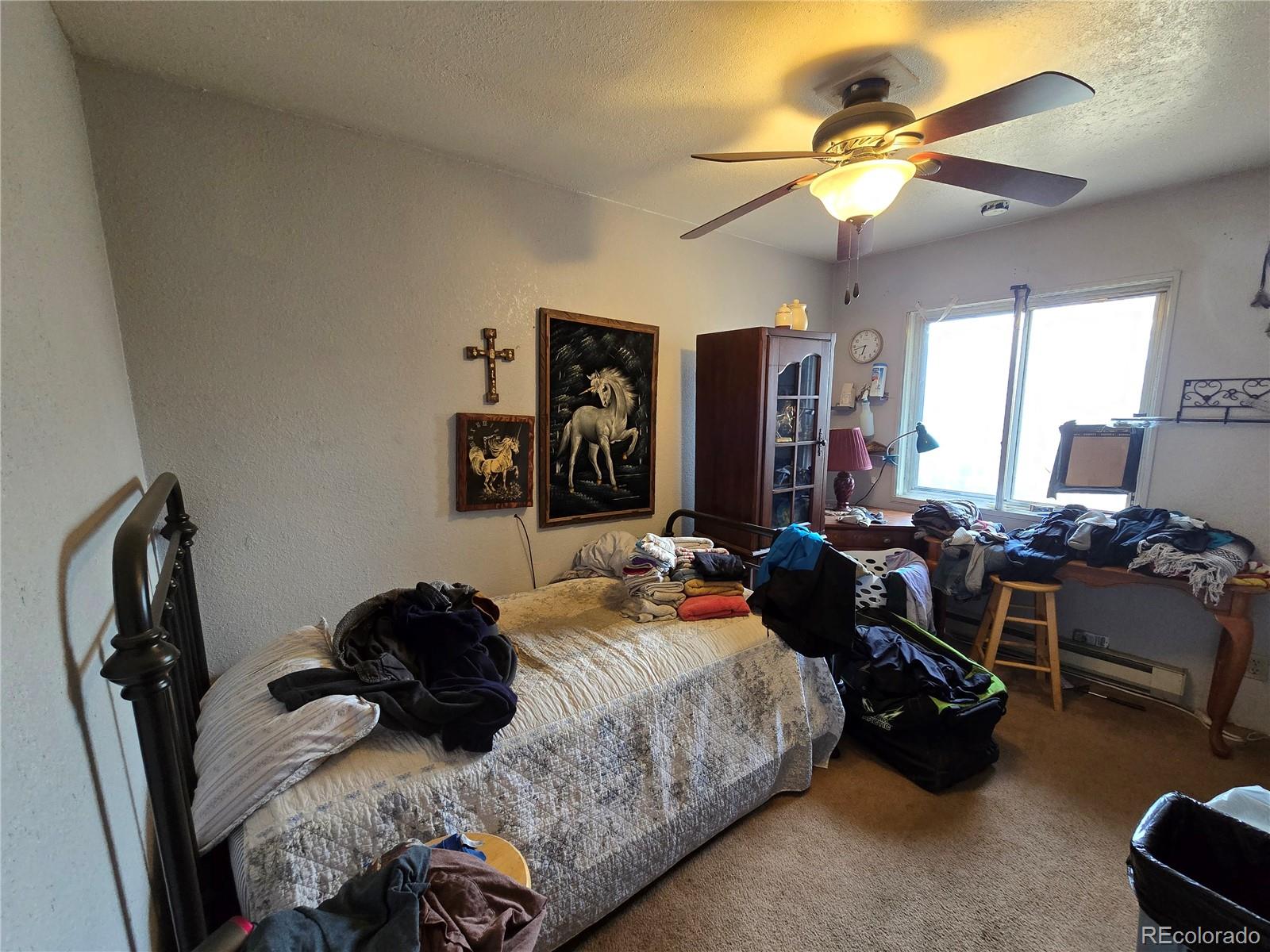 855 Will Stutley Drive Divide CO 80814