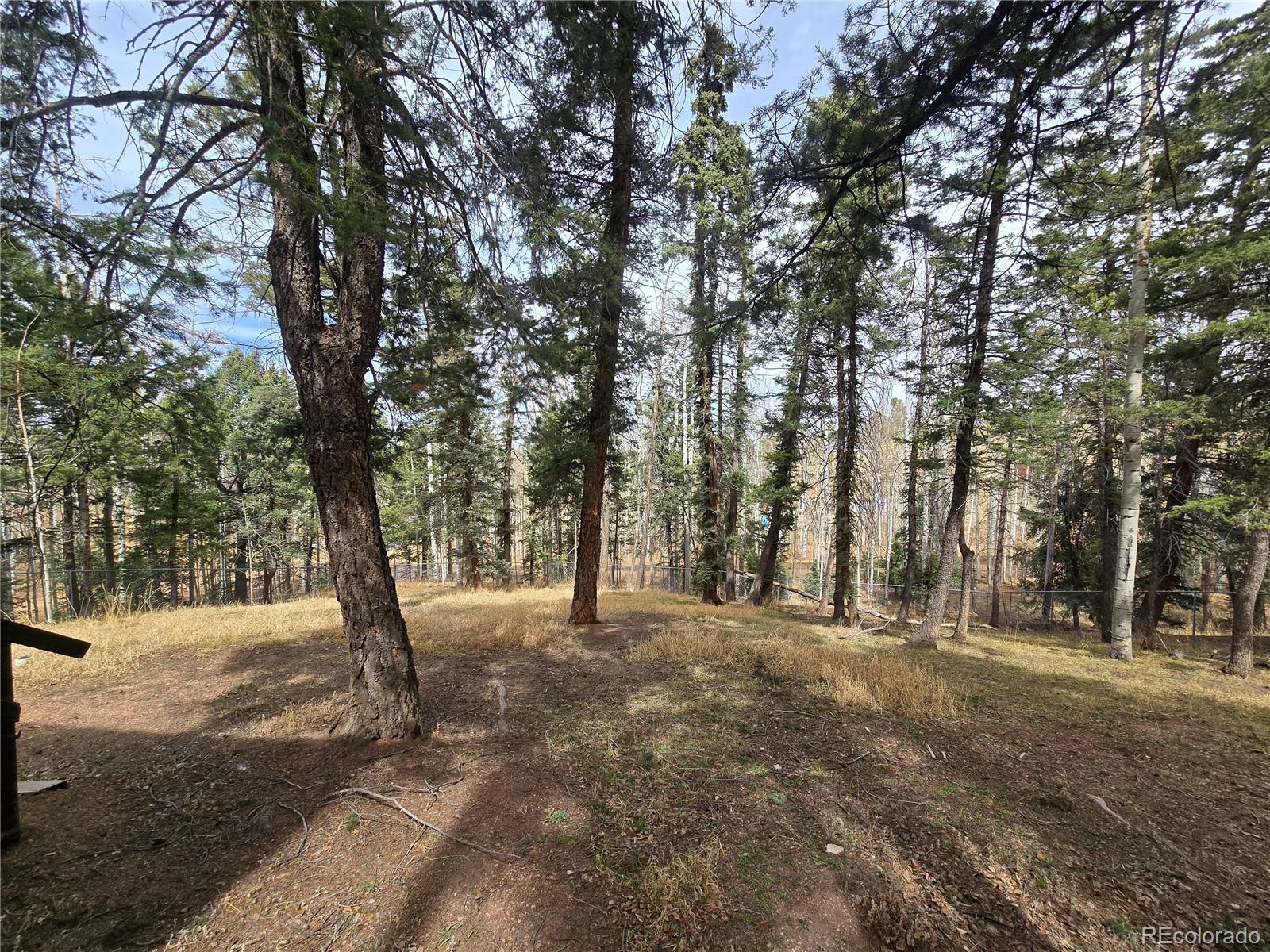 855 Will Stutley Drive Divide CO 80814