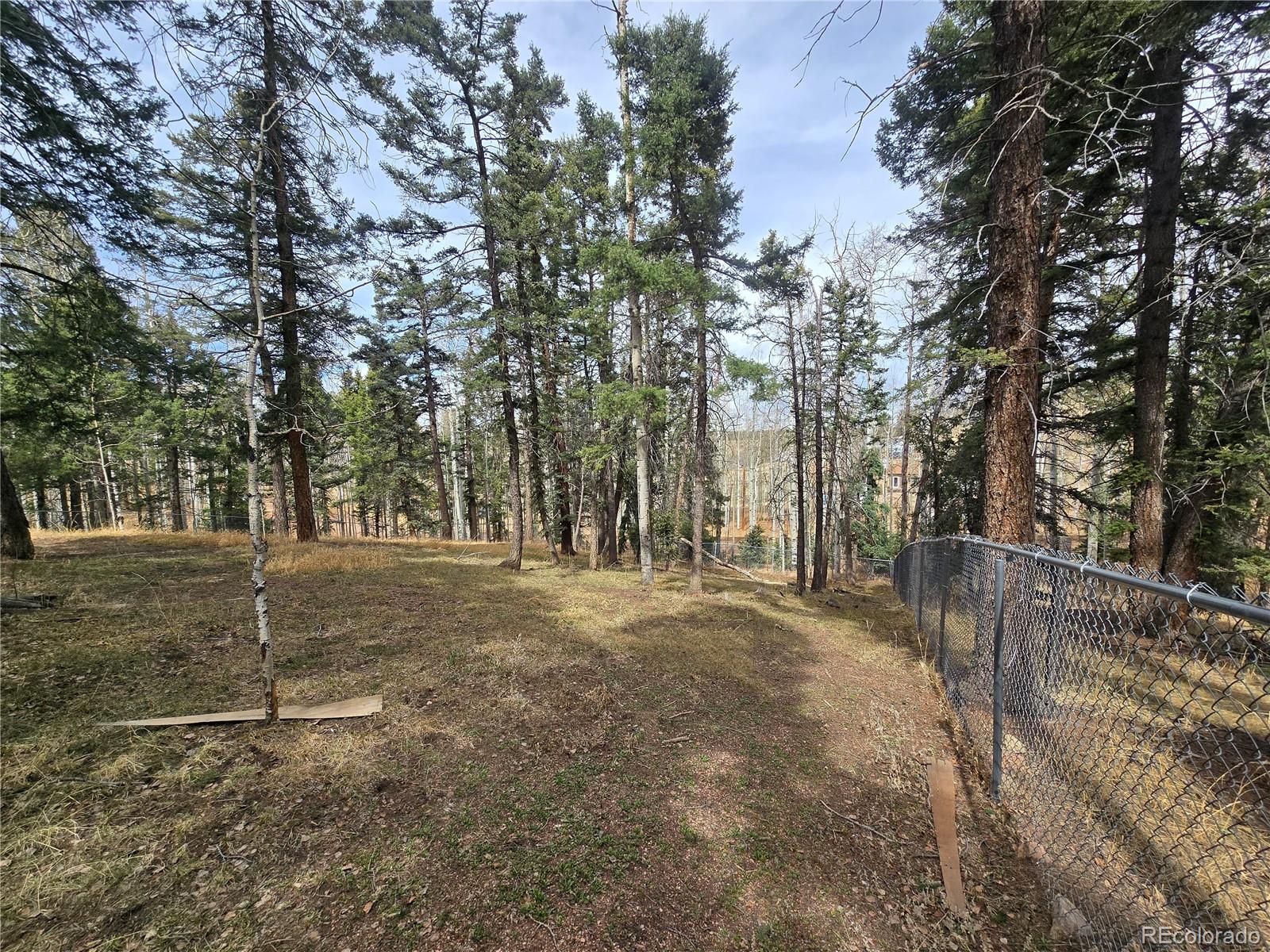 855 Will Stutley Drive Divide CO 80814