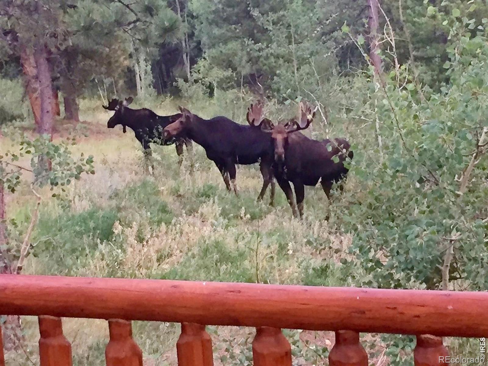 747 Coyote Hill Road Allenspark CO 80510