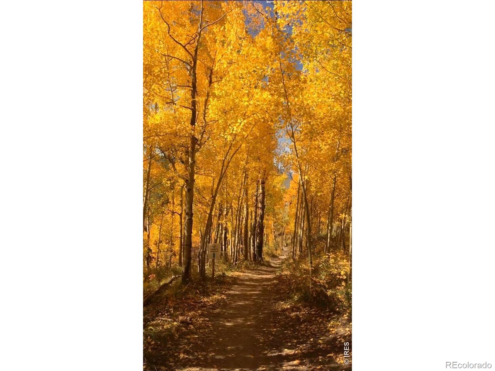 747 Coyote Hill Road Allenspark CO 80510