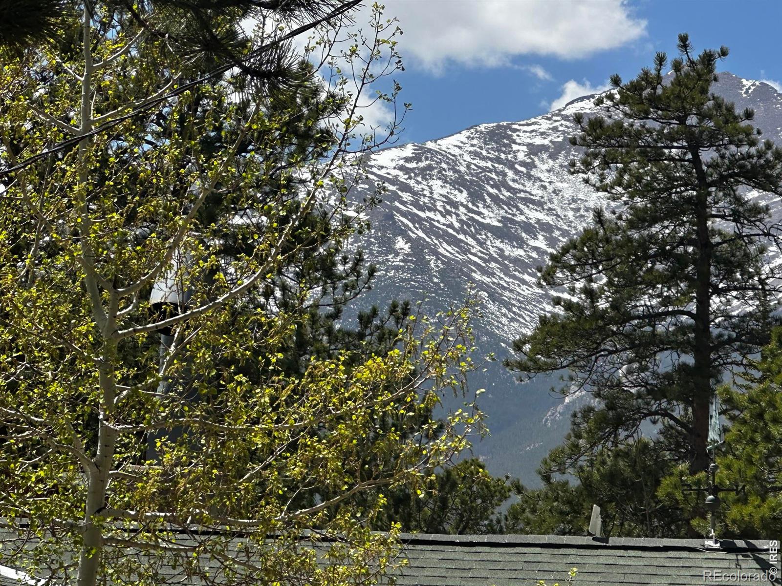 747 Coyote Hill Road Allenspark CO 80510