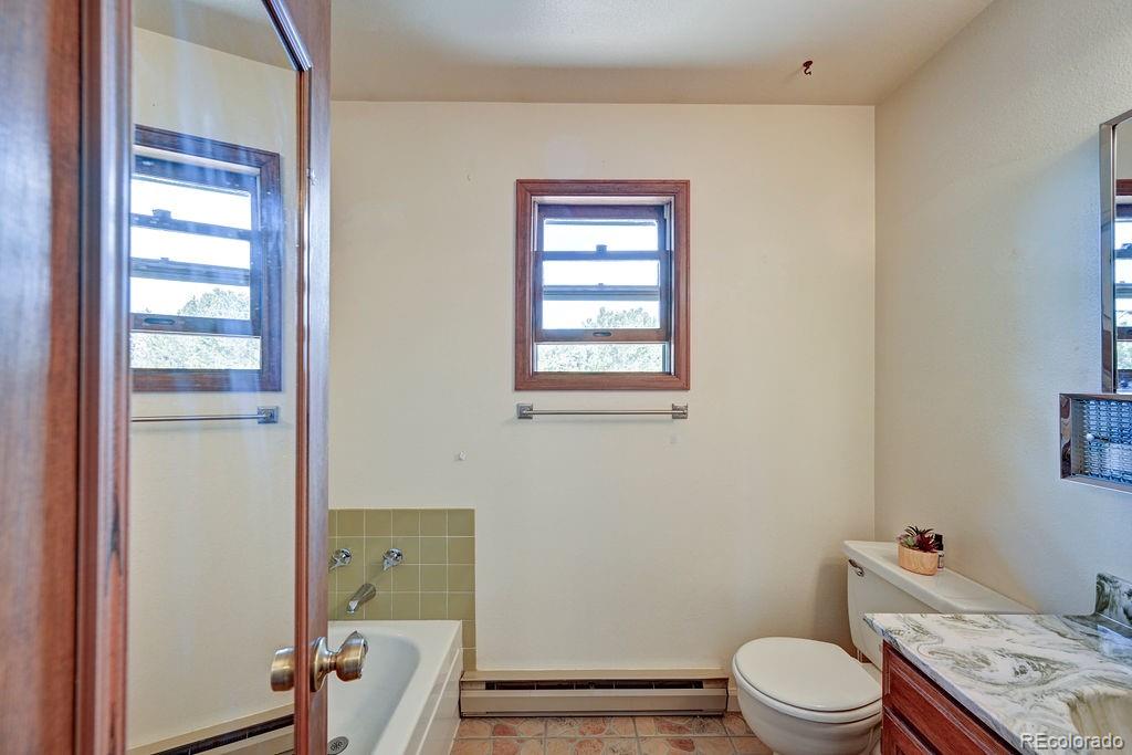 15245 Cr 353 Buena Vista CO 81211